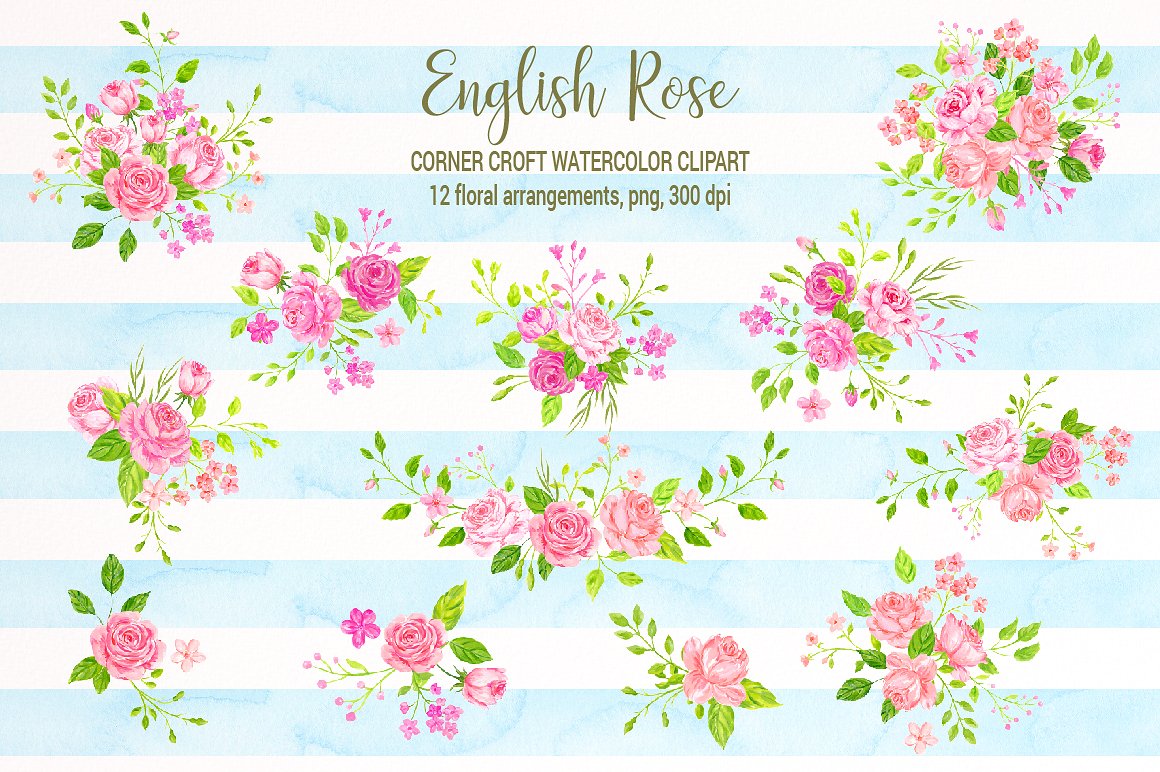 Watercolor English Rose Clipar