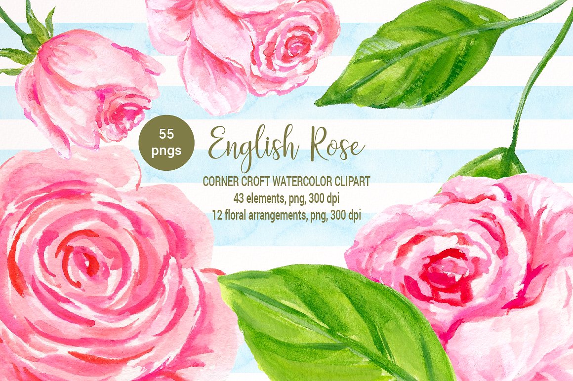 Watercolor English Rose Clipar