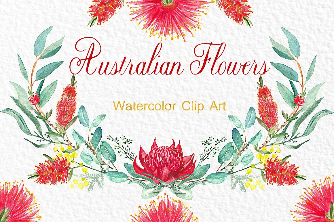 Australian flowers watercolors