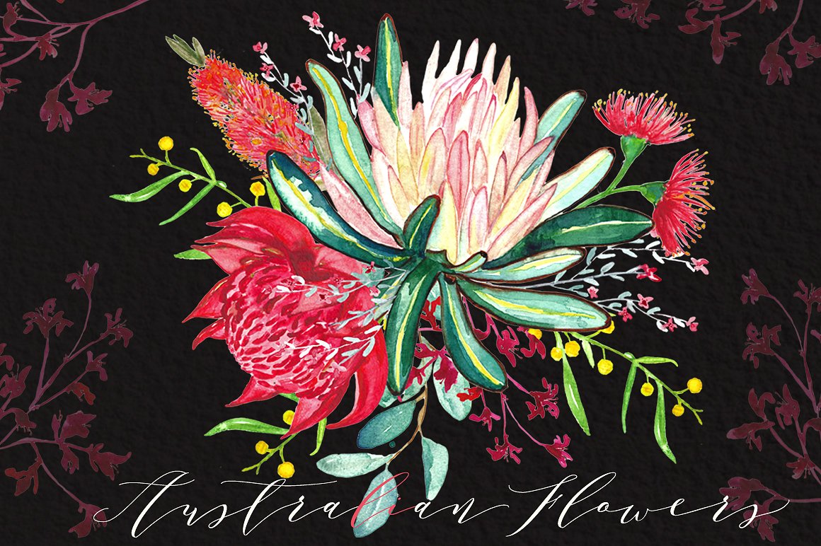 Australian flowers watercolors