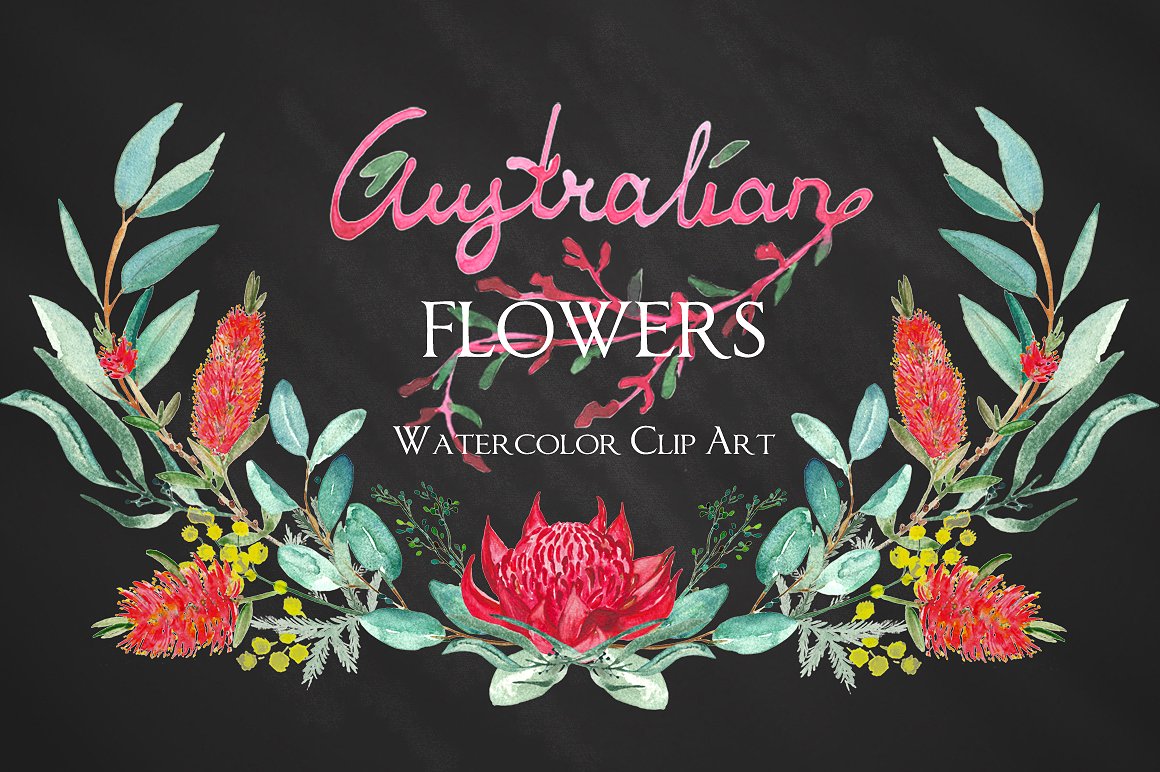 Australian flowers watercolors