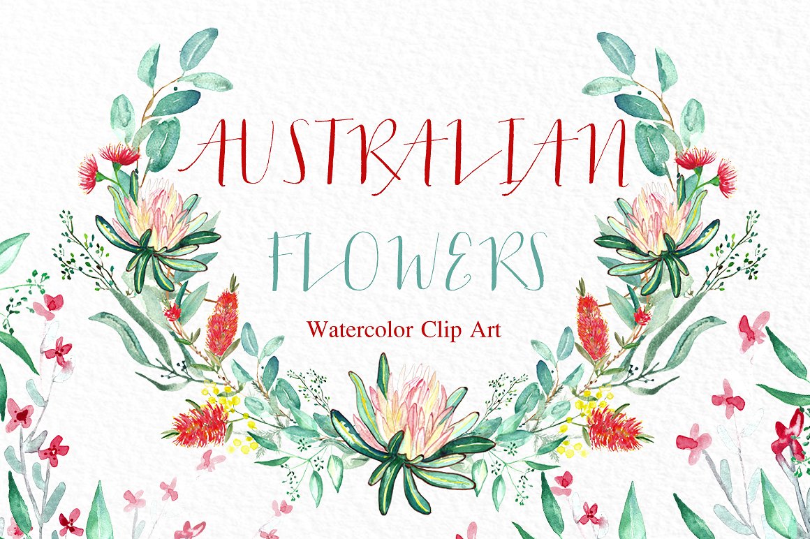 Australian flowers watercolors