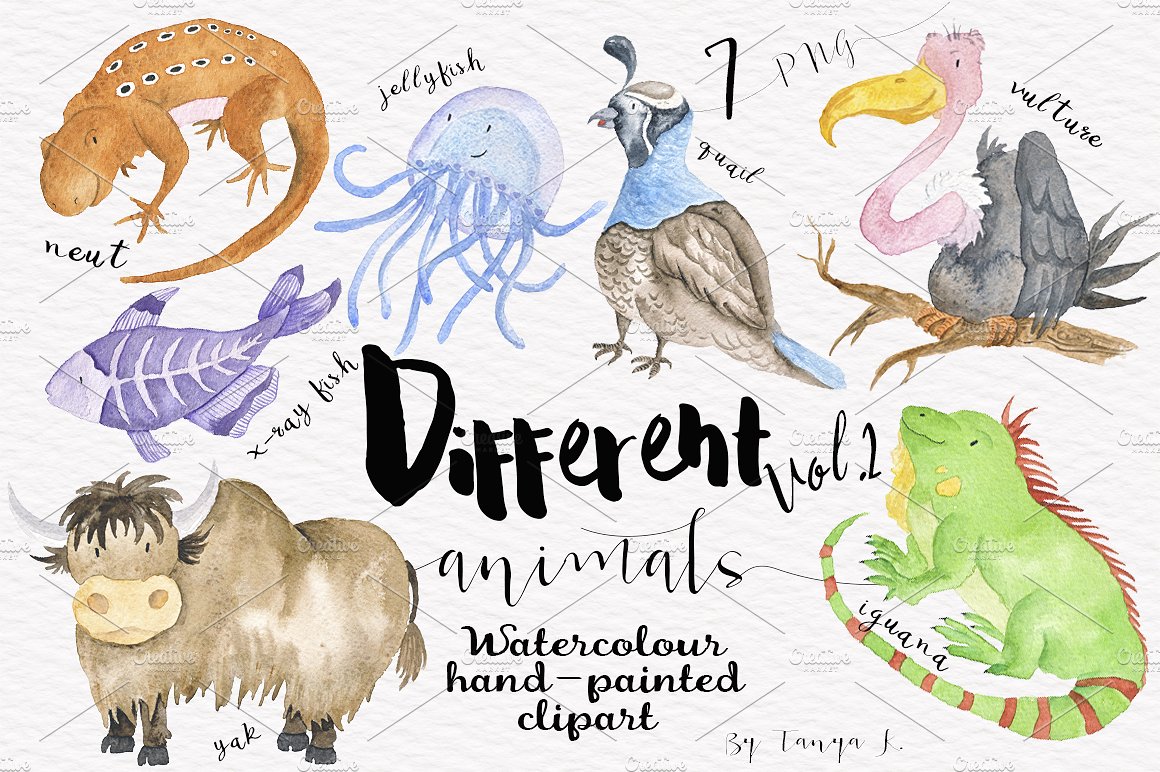 Different Watercolor Animals V