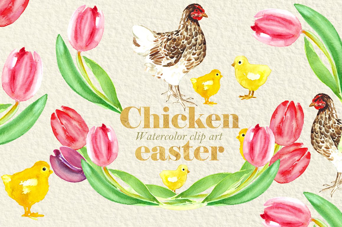 Easter Chicken.Watercolor clip