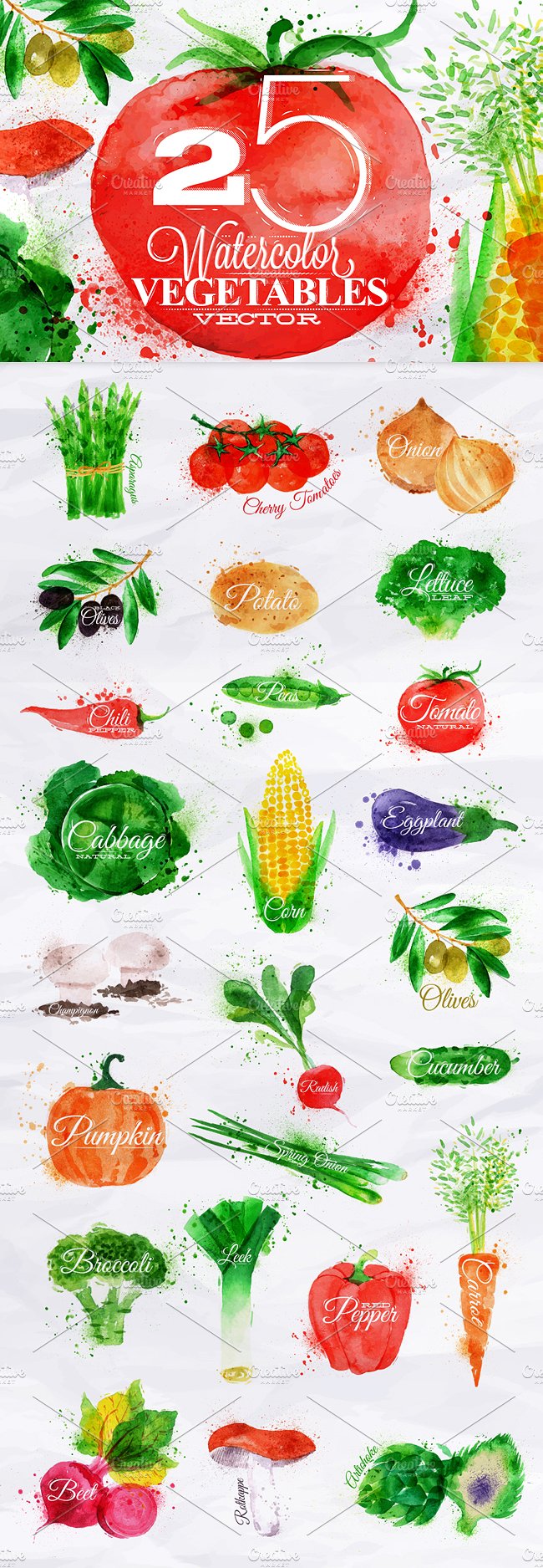 Vegetables Watercolor