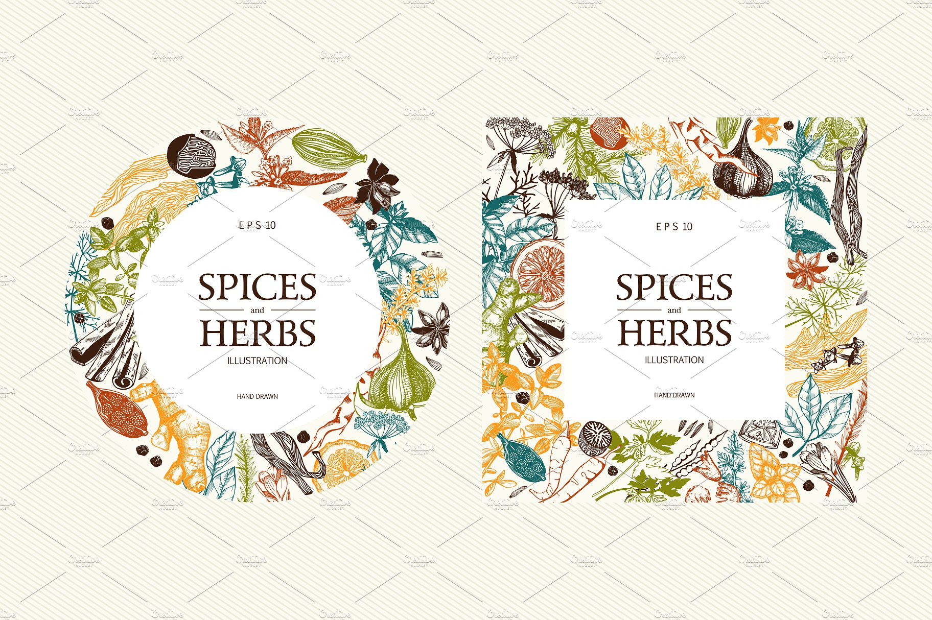 Vector Kitchen Spice -amp; Her