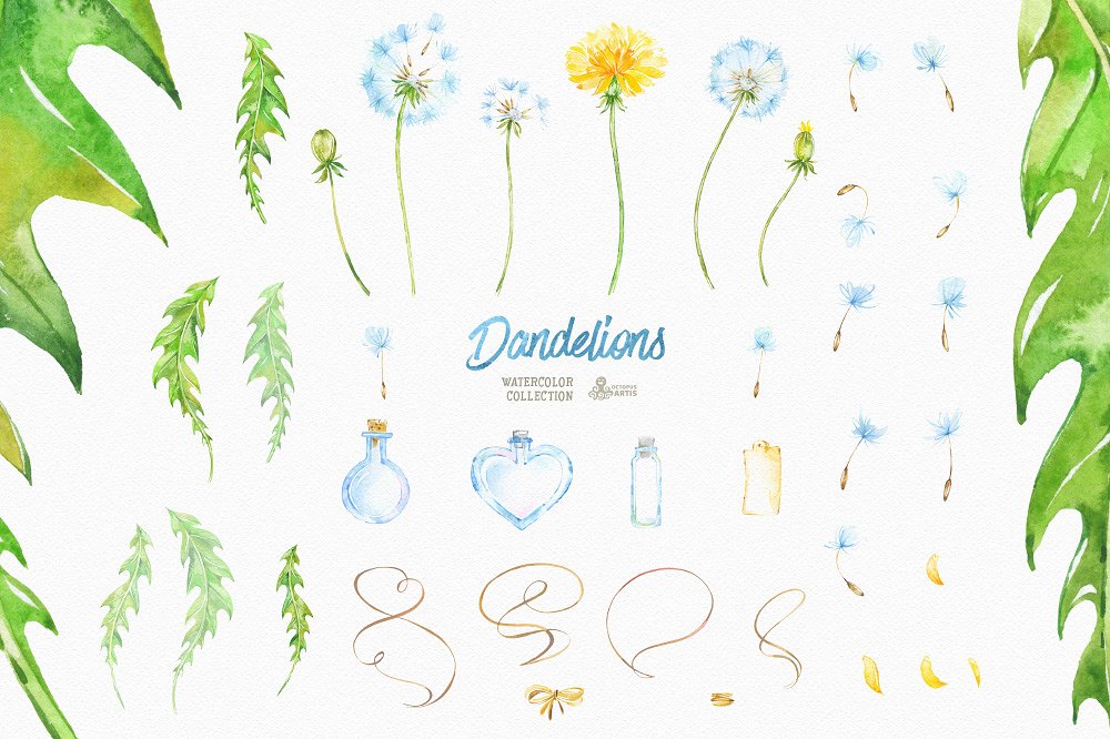 Dandelions. Floral Collection