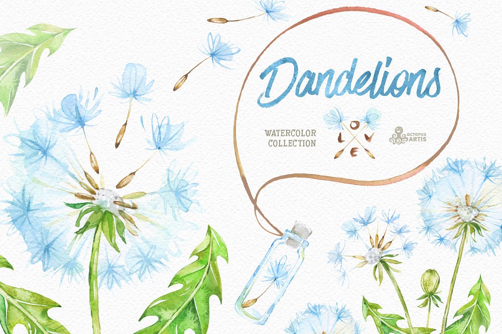 Dandelions. Floral Collection