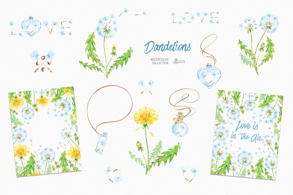 Dandelions. Floral Collection