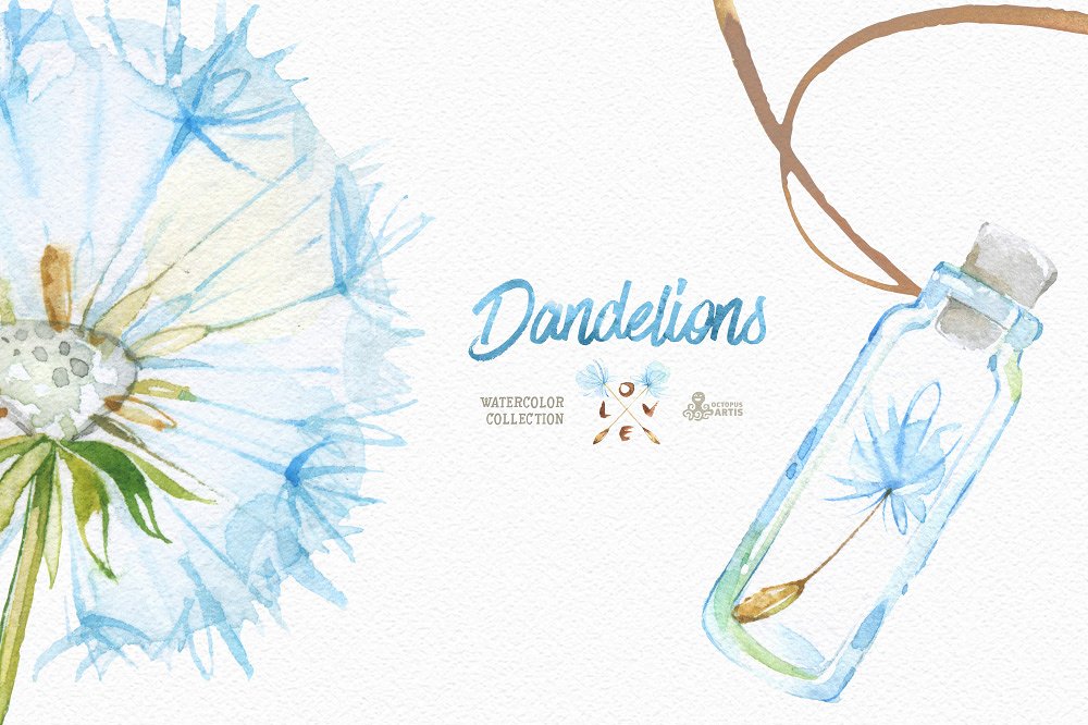 Dandelions. Floral Collection