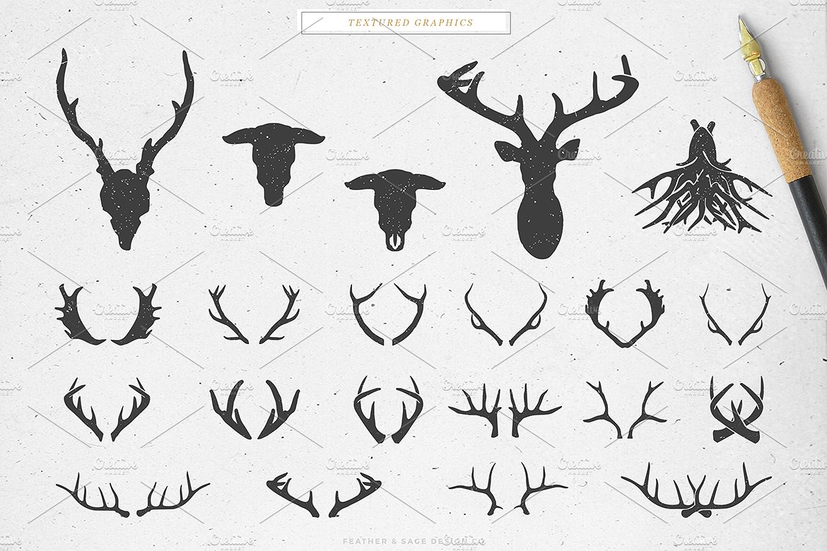 Antlers -amp; a Bull Vector Gr