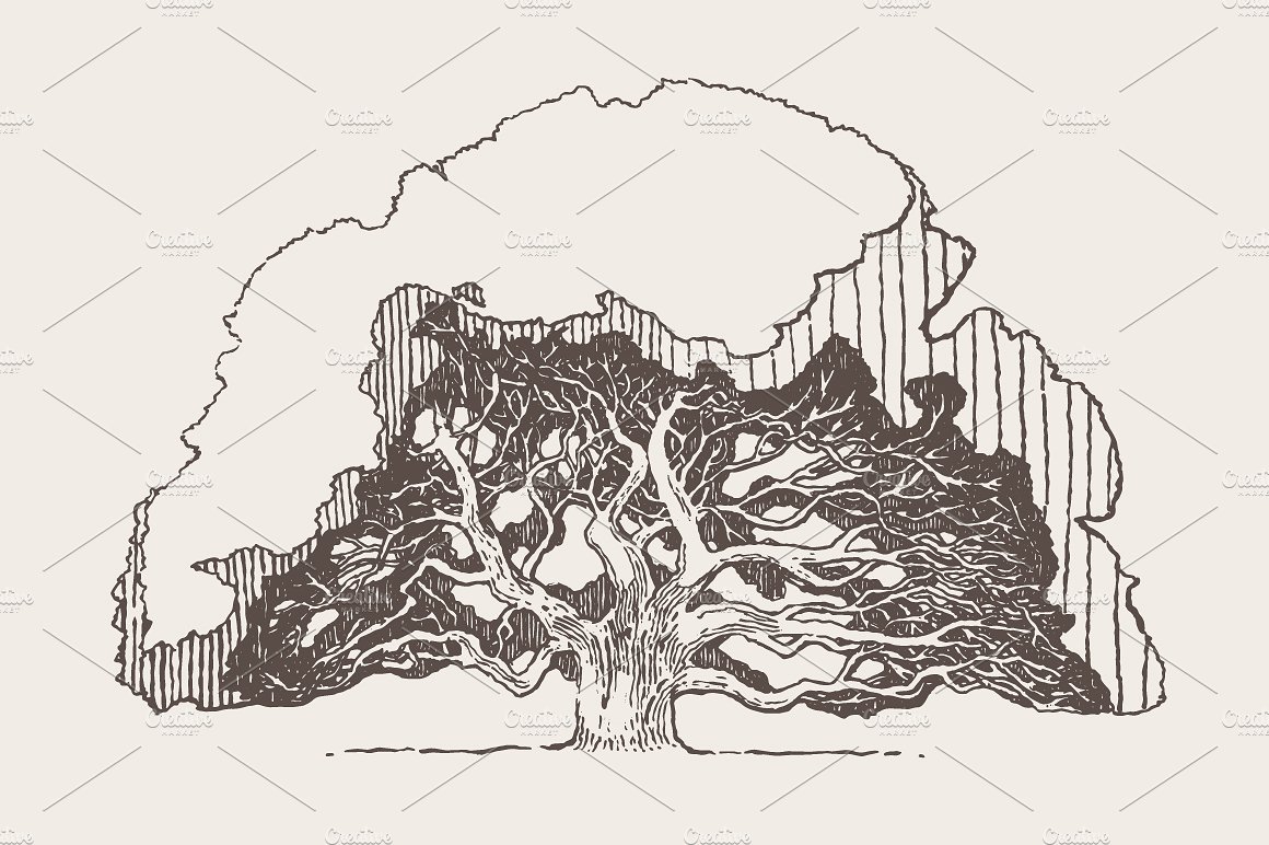 Illustration of an old oak tre