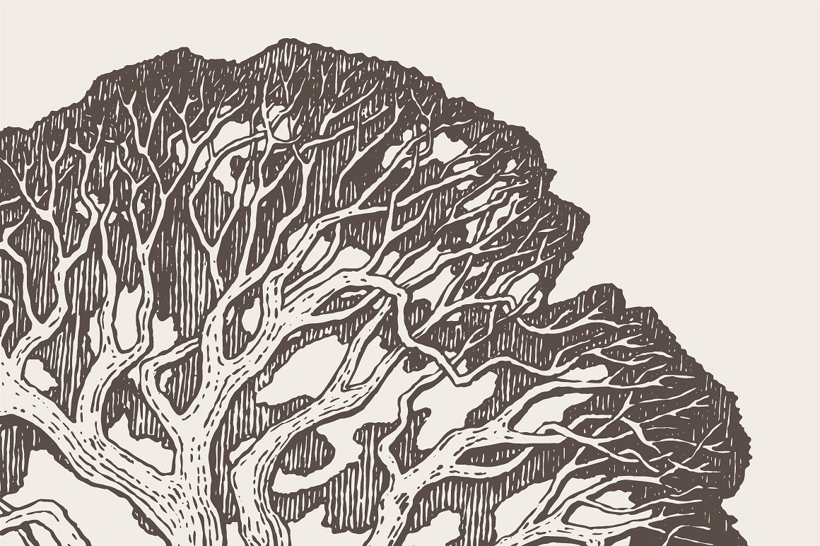 Illustration of an old oak tre