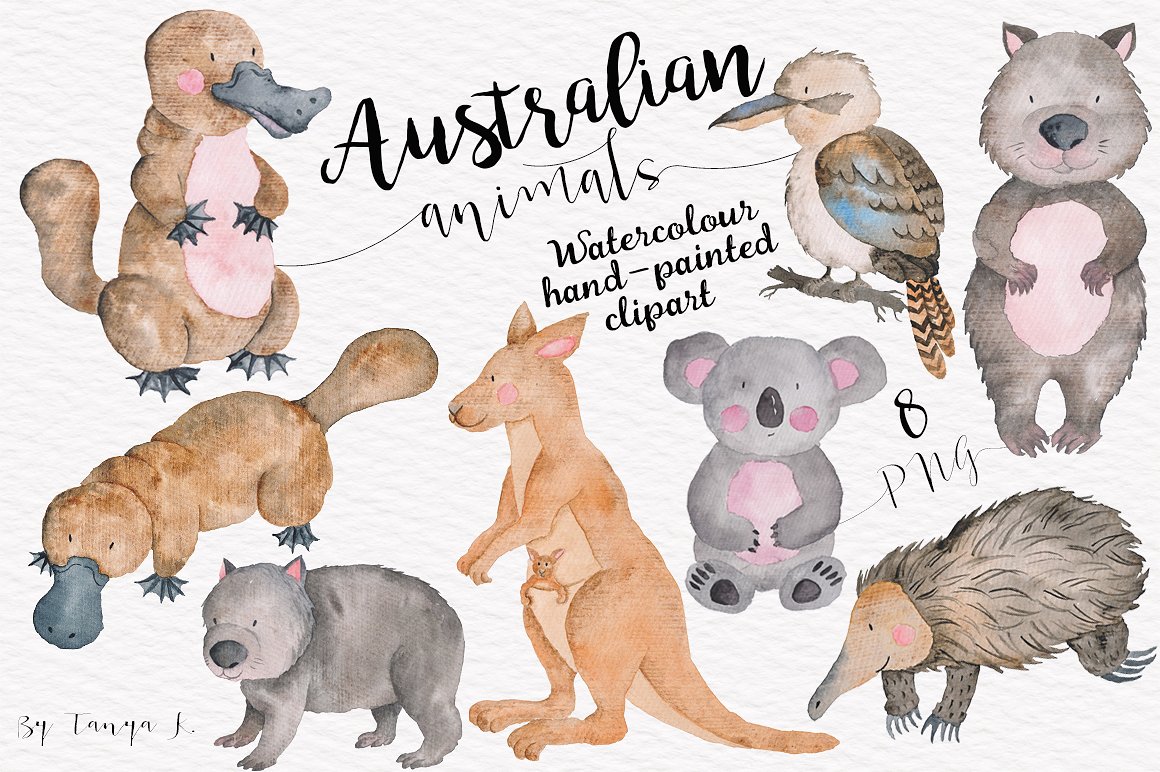 Australian Watercolor Animals