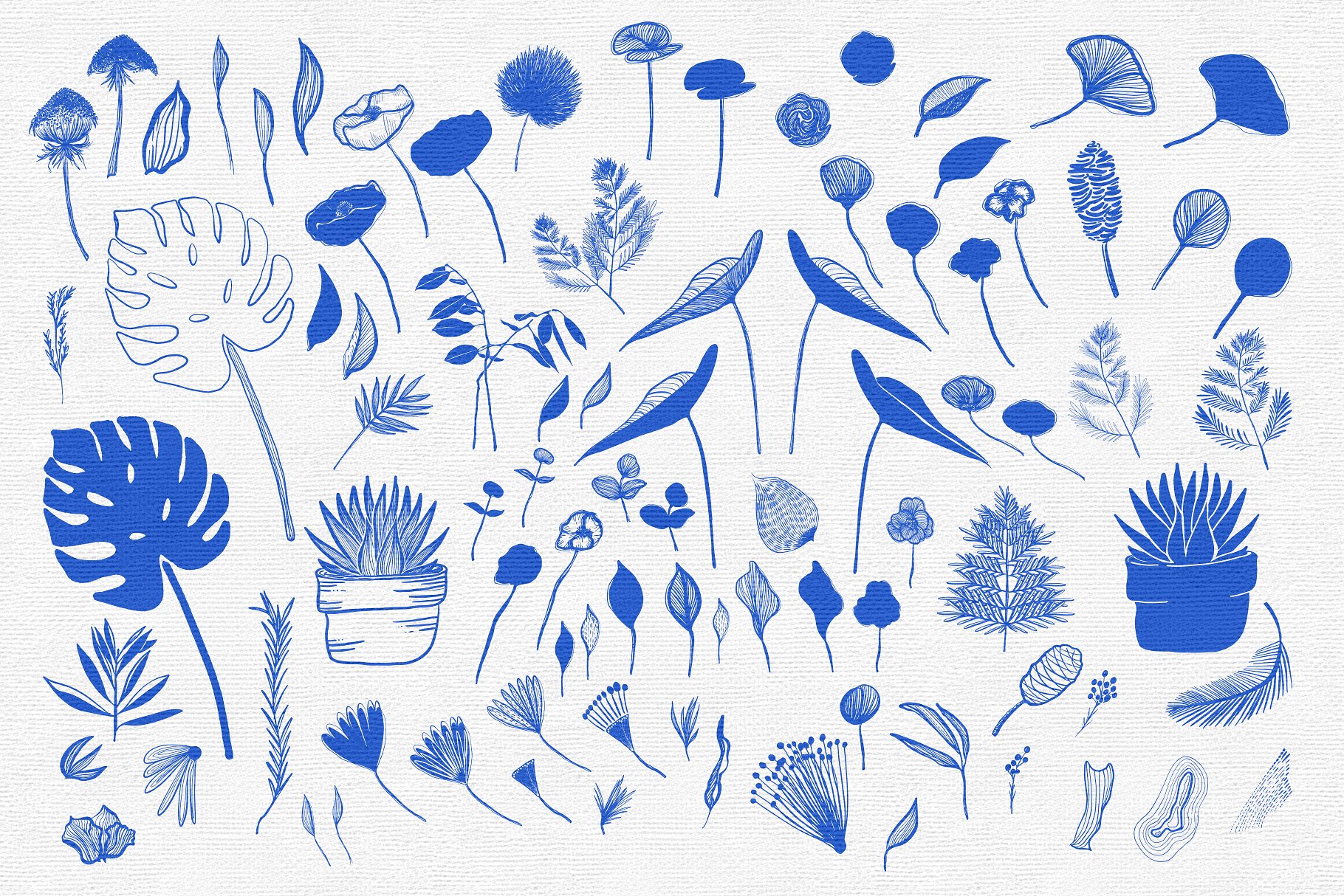 Botanical Garden Vector Graphi