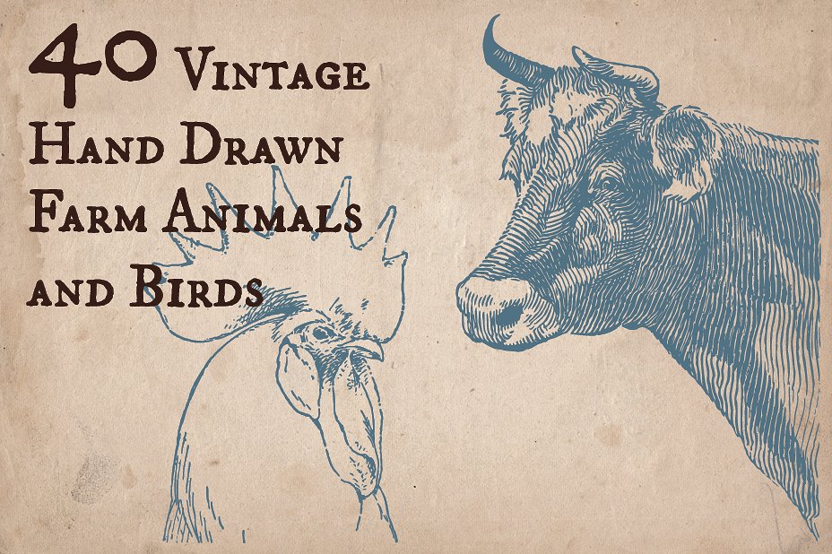 40 Vintage Farm Animals and Bi