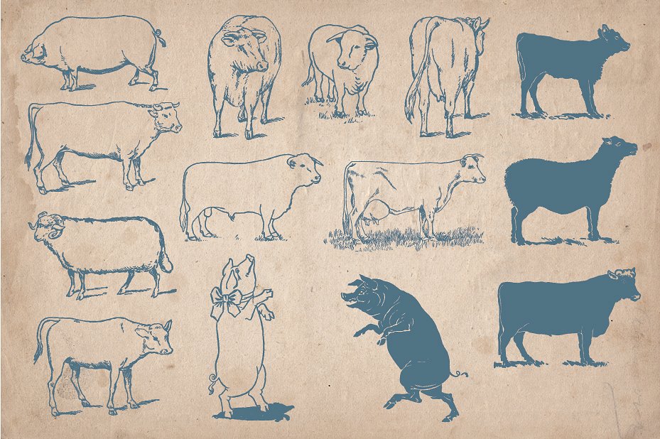 40 Vintage Farm Animals and Bi