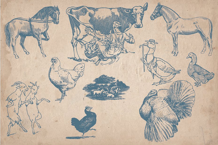 40 Vintage Farm Animals and Bi