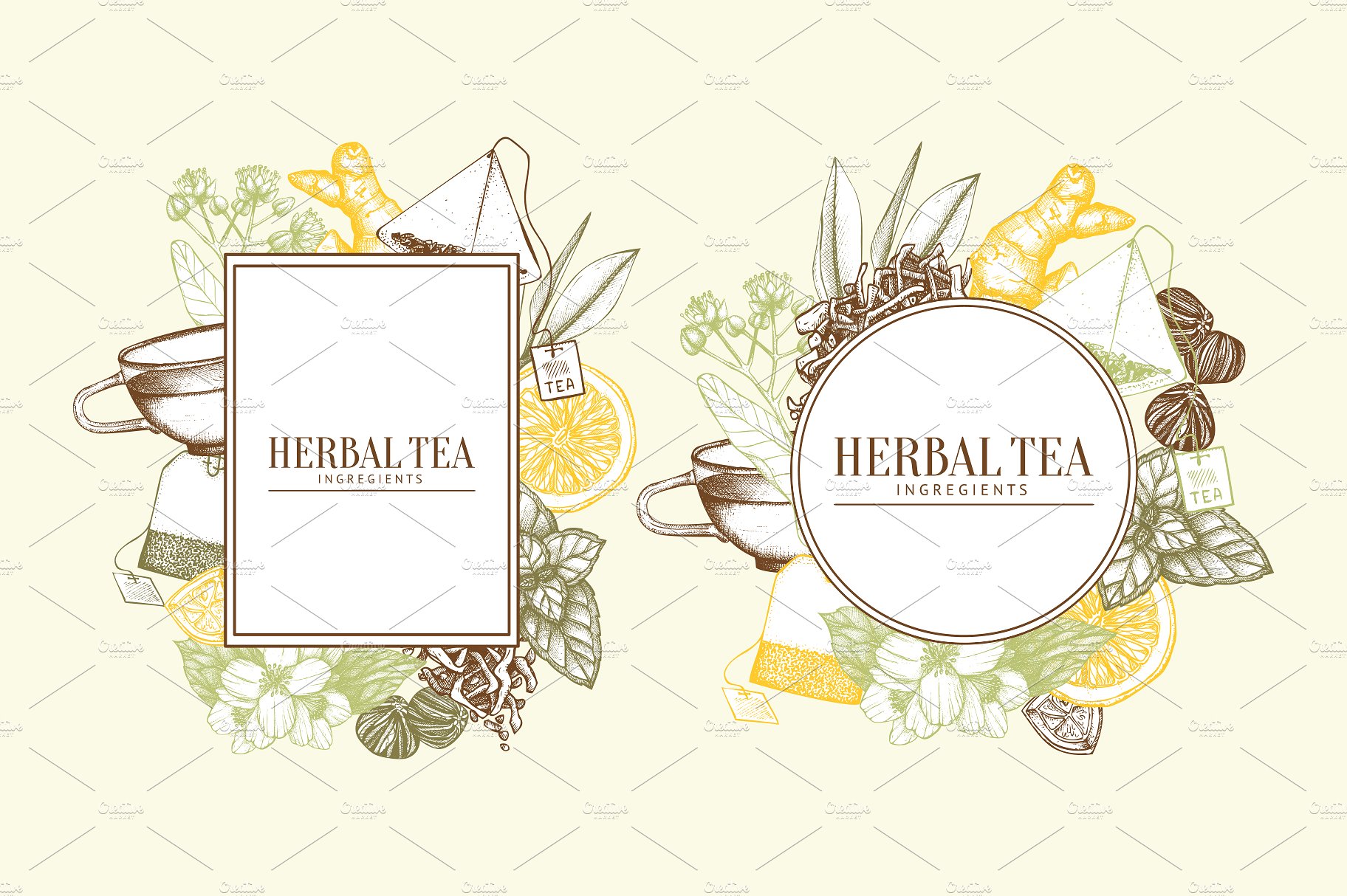 Vector Herbal Tea Ingredients