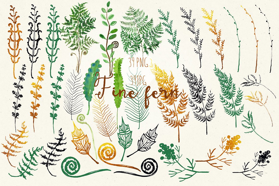 Fine ferns. watercolor clipart