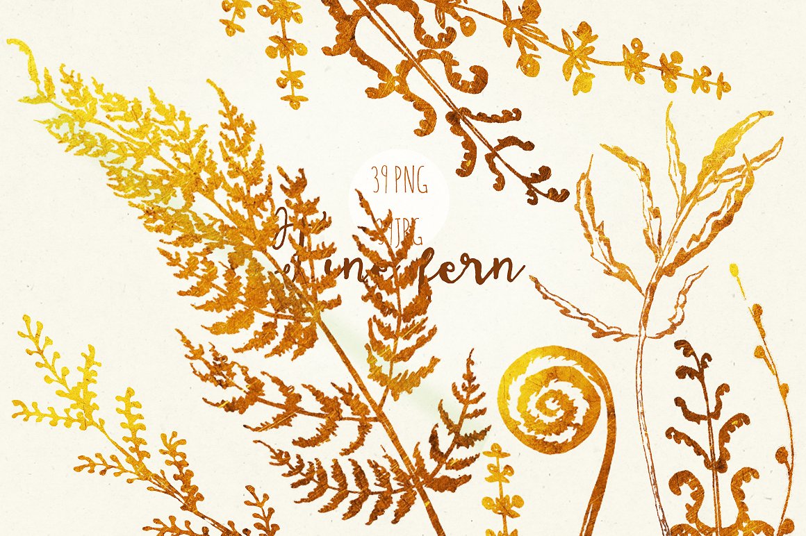 Fine ferns. watercolor clipart