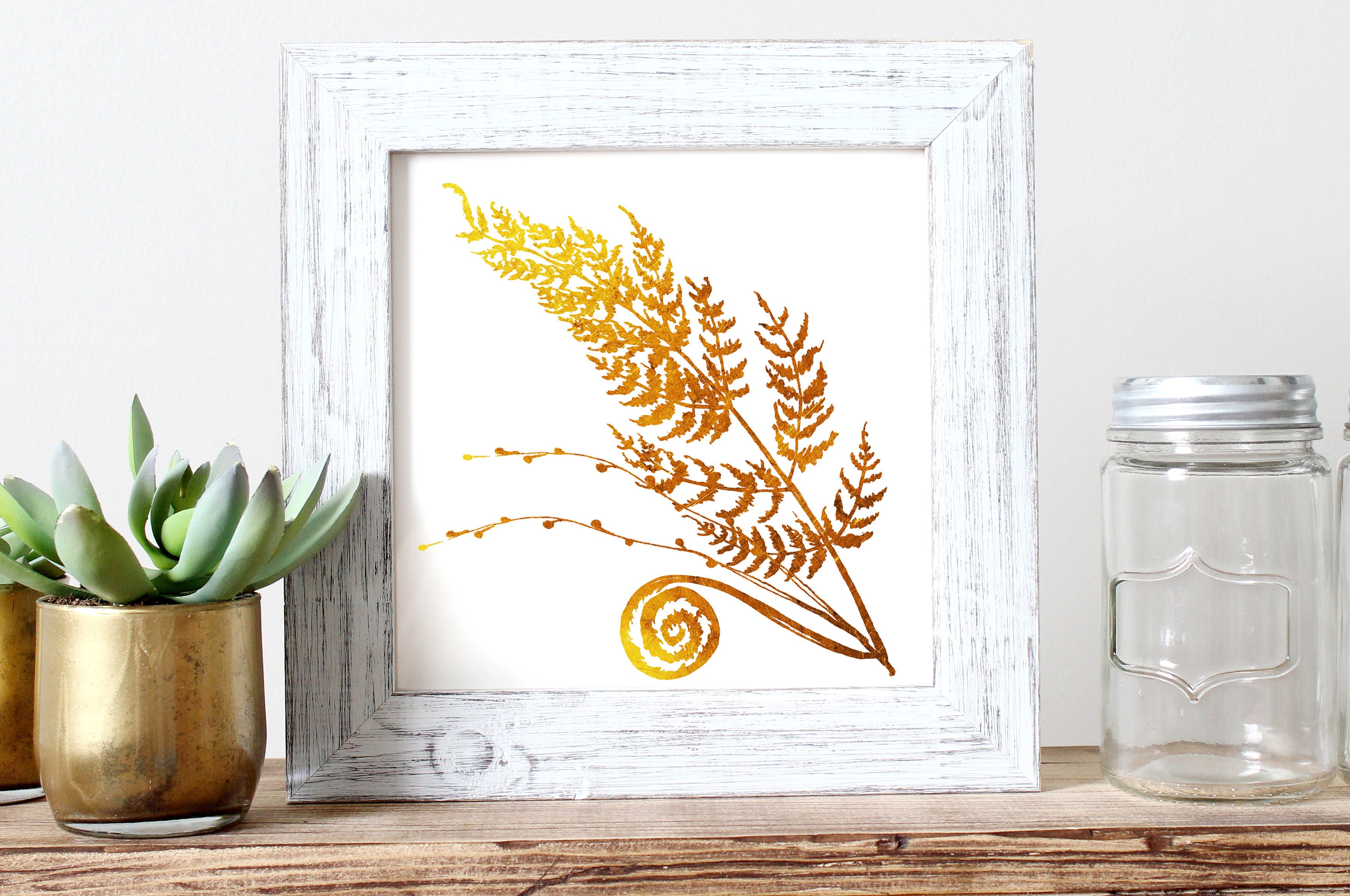 Fine ferns. watercolor clipart