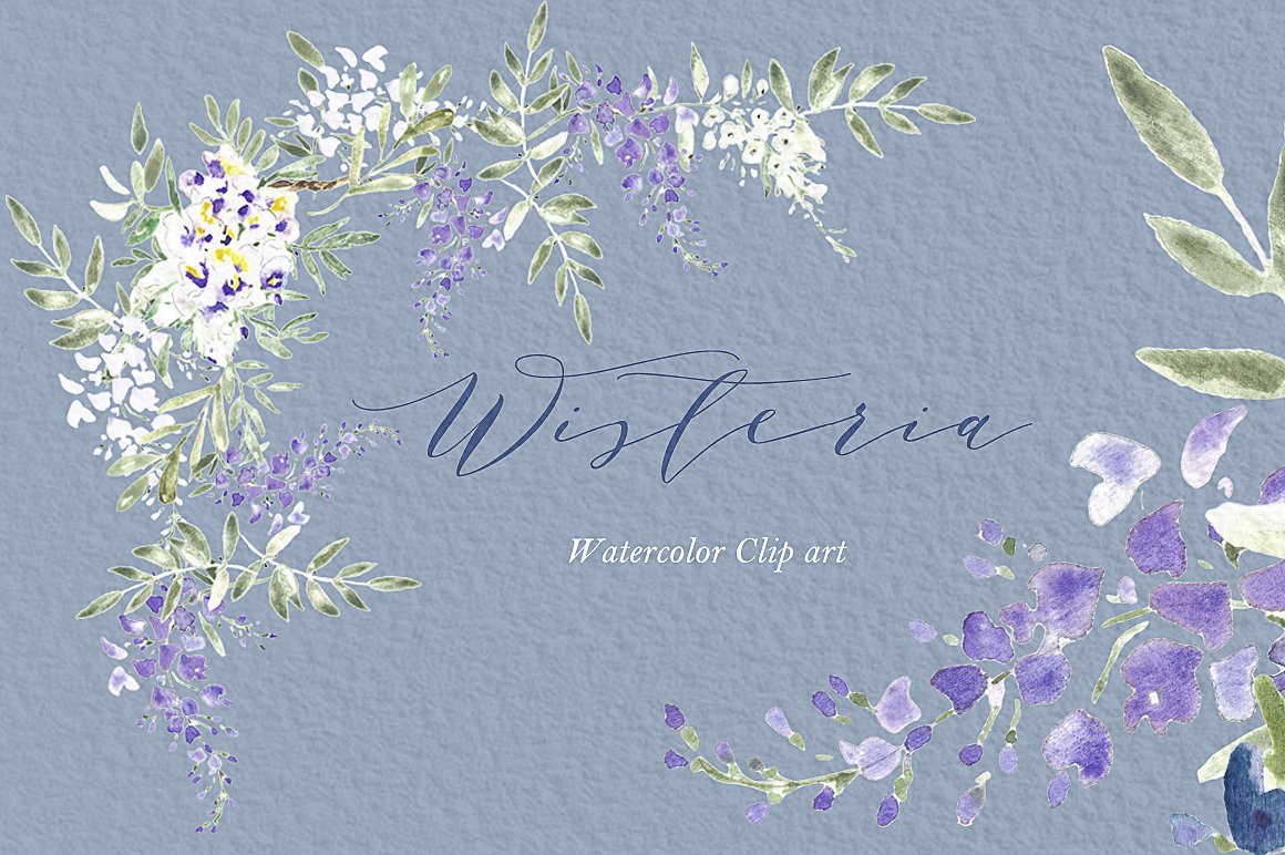 紫藤婚礼水彩PNG免扣剪贴画素材包 Wisteria wed