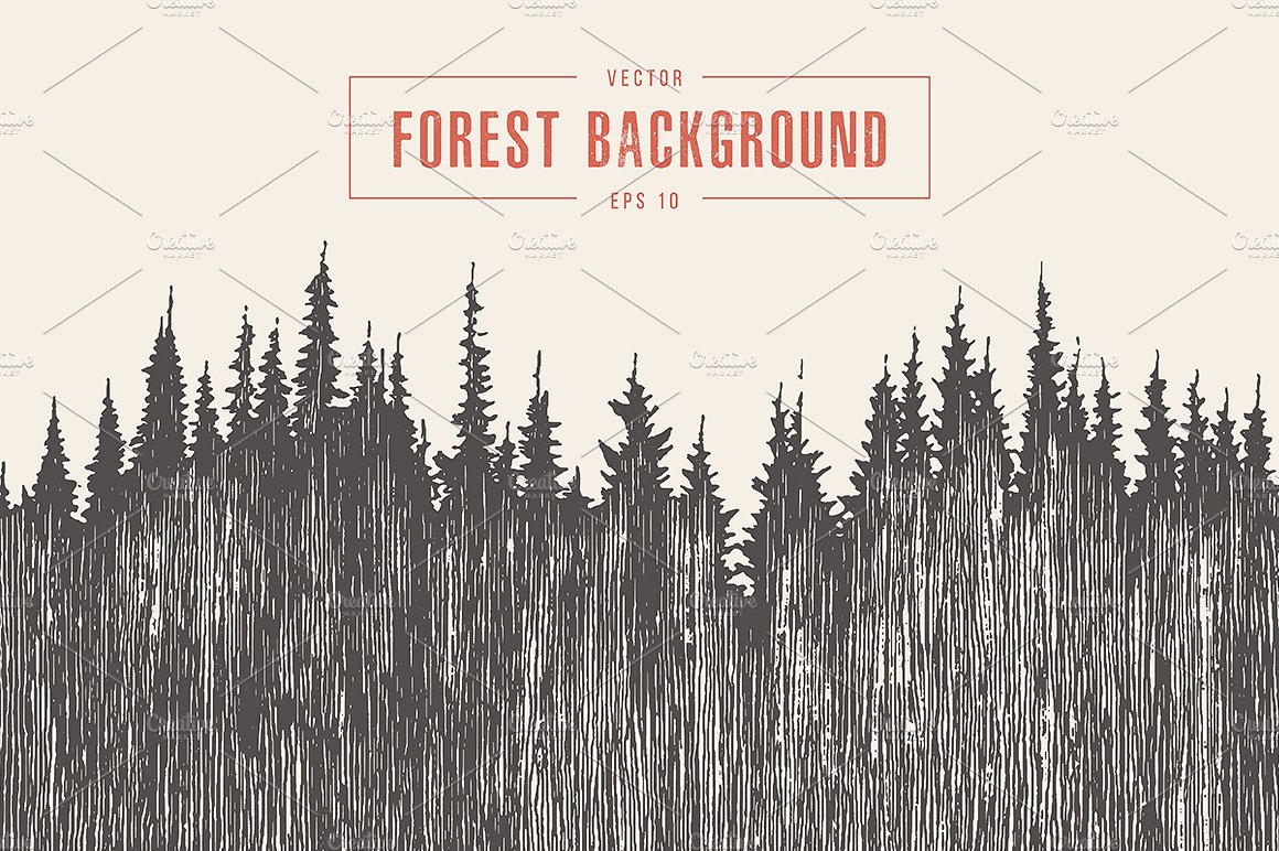 Pine forest background