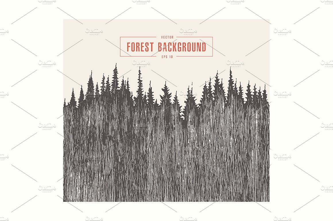 Pine forest background