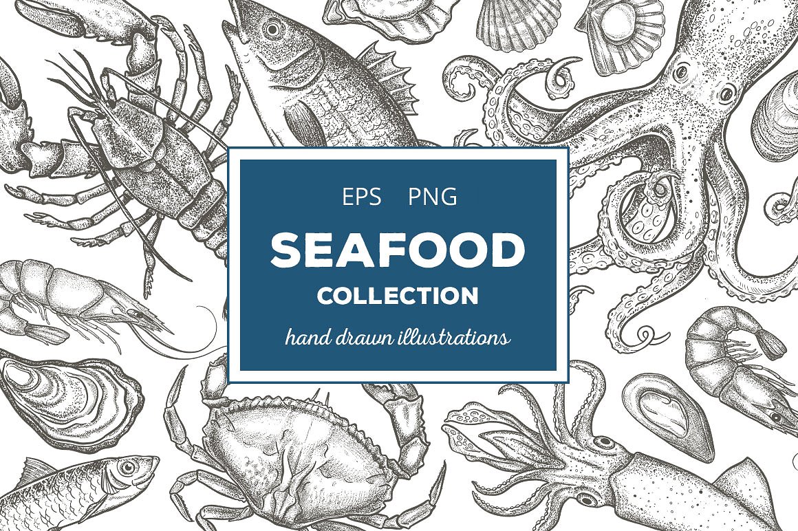 Seafood Illustrations