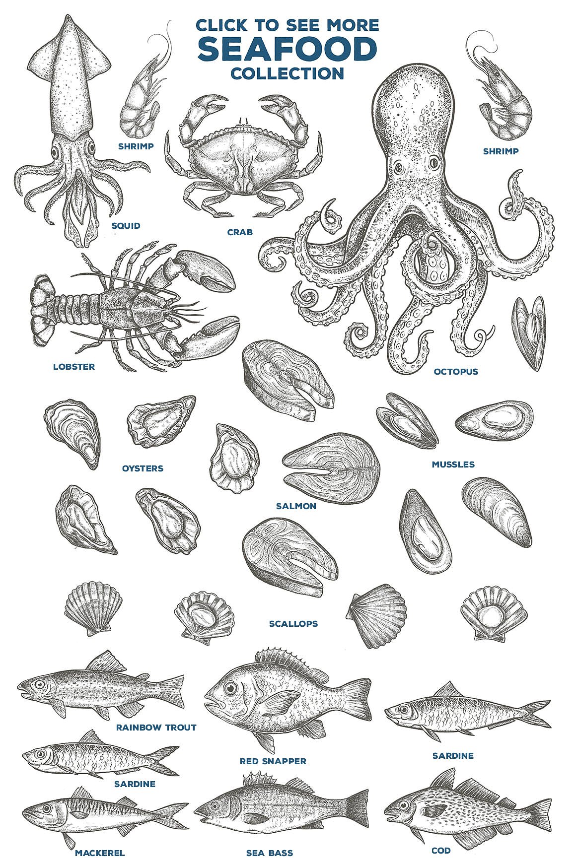 Seafood Illustrations