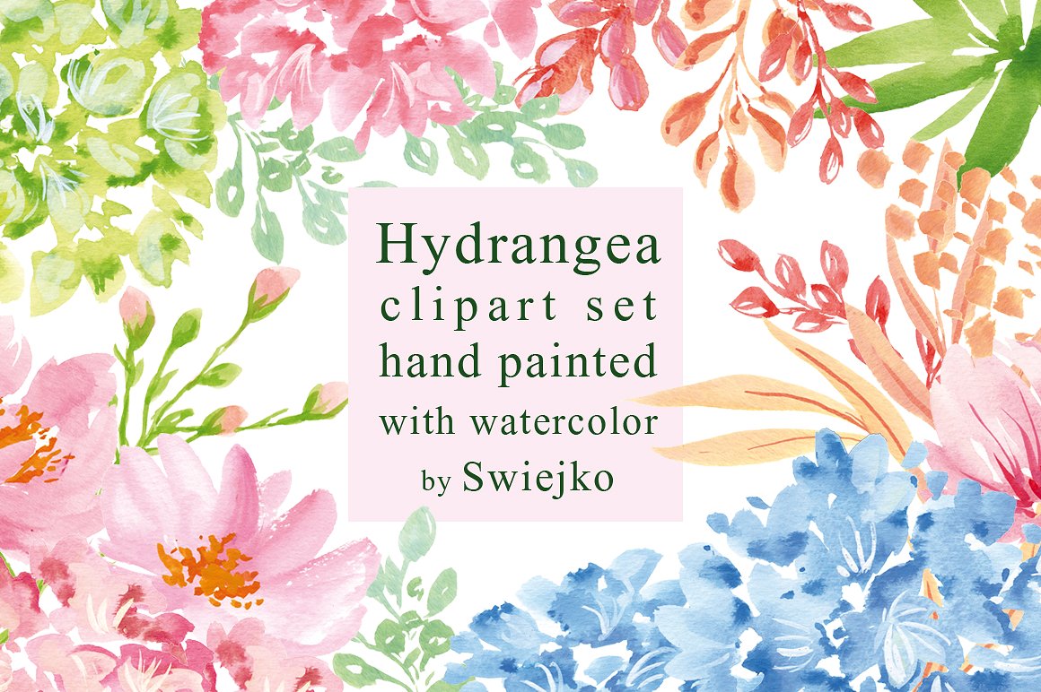 Hydrangea clipart set