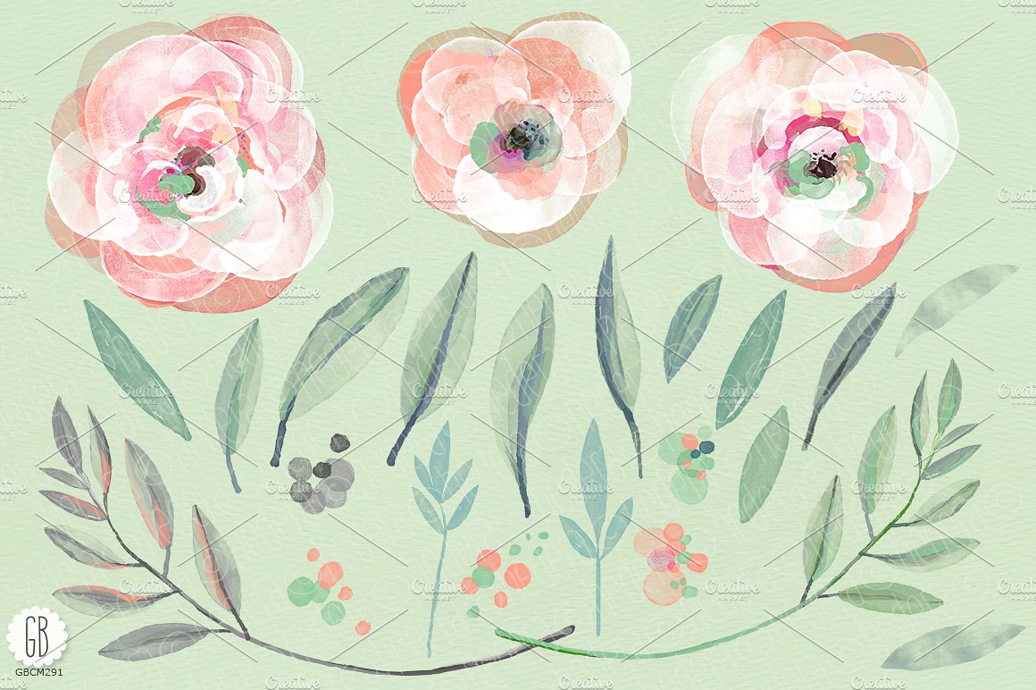 Watercolor coral mint roses