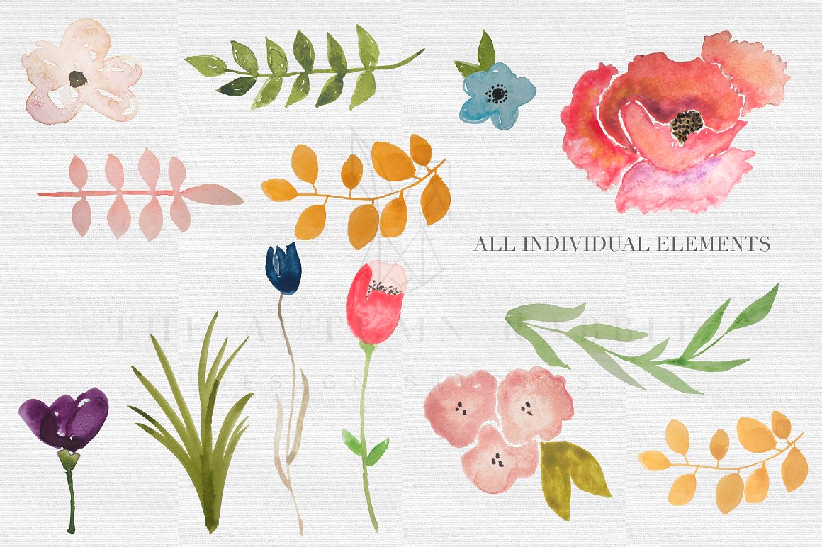 Watercolor Flower Clipart Set