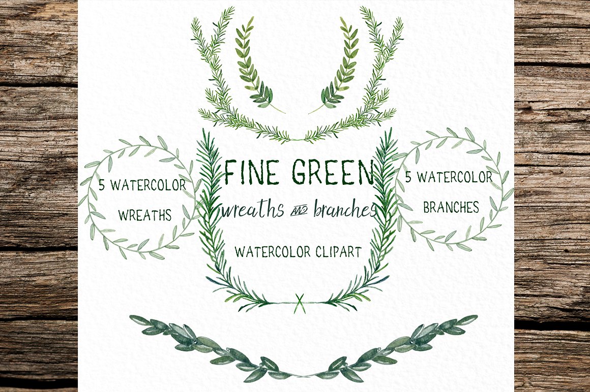 Rosemary Fine green. watercolo