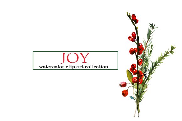 Watercolor Christmas Floral Se