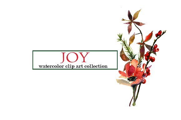 Watercolor Christmas Floral Se