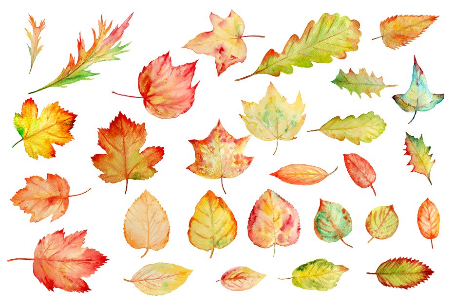 Watercolor Autumn Leaves Clipa