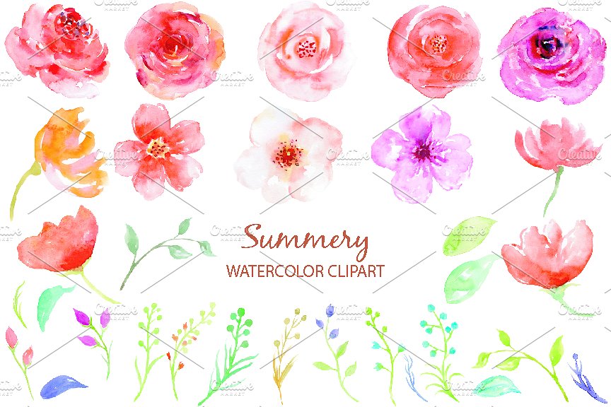 Watercolor Clipart Summery