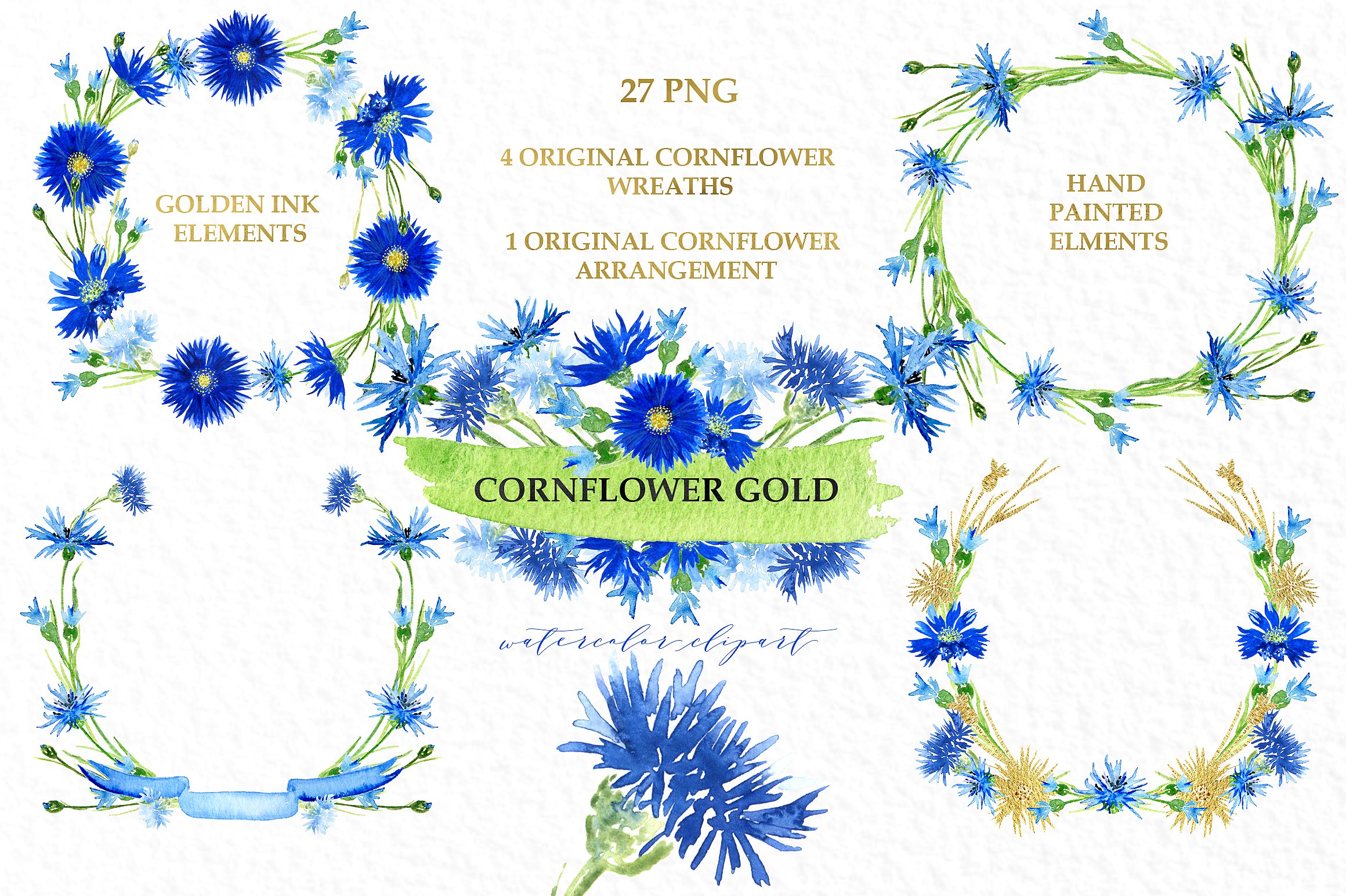 Cornflowers gold. Watercolor c