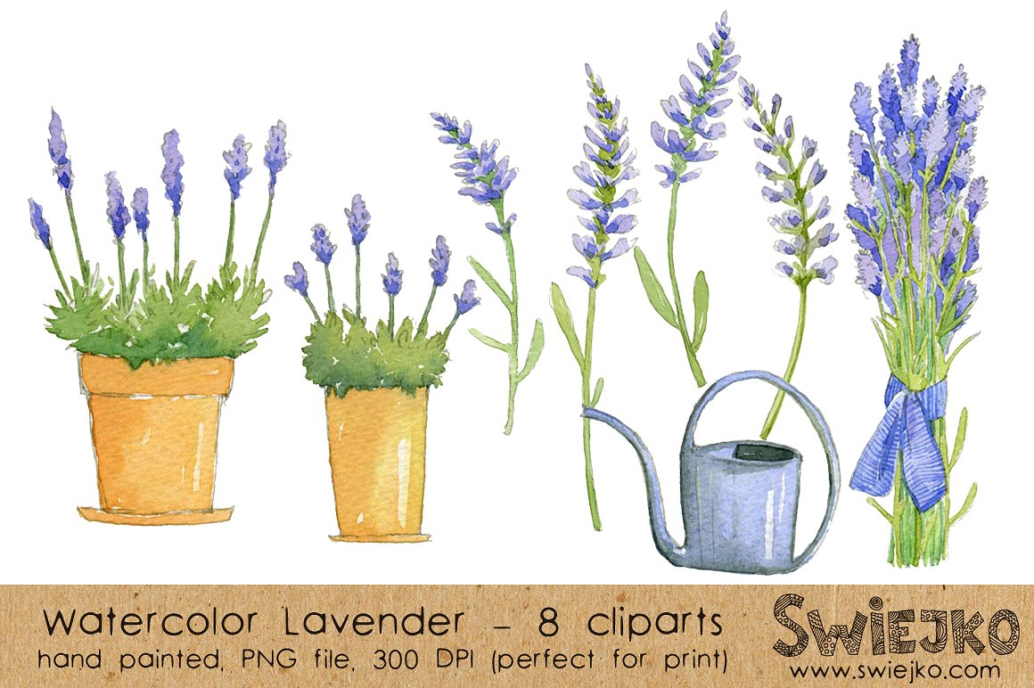 Watercolor ClipArt -Lavender