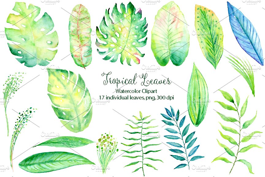 Watercolor Tropical Leaf