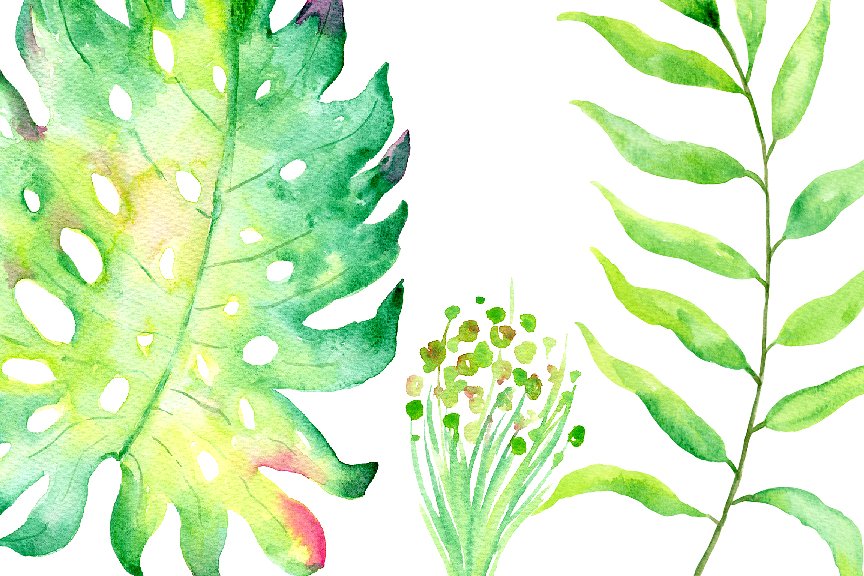 Watercolor Tropical Leaf