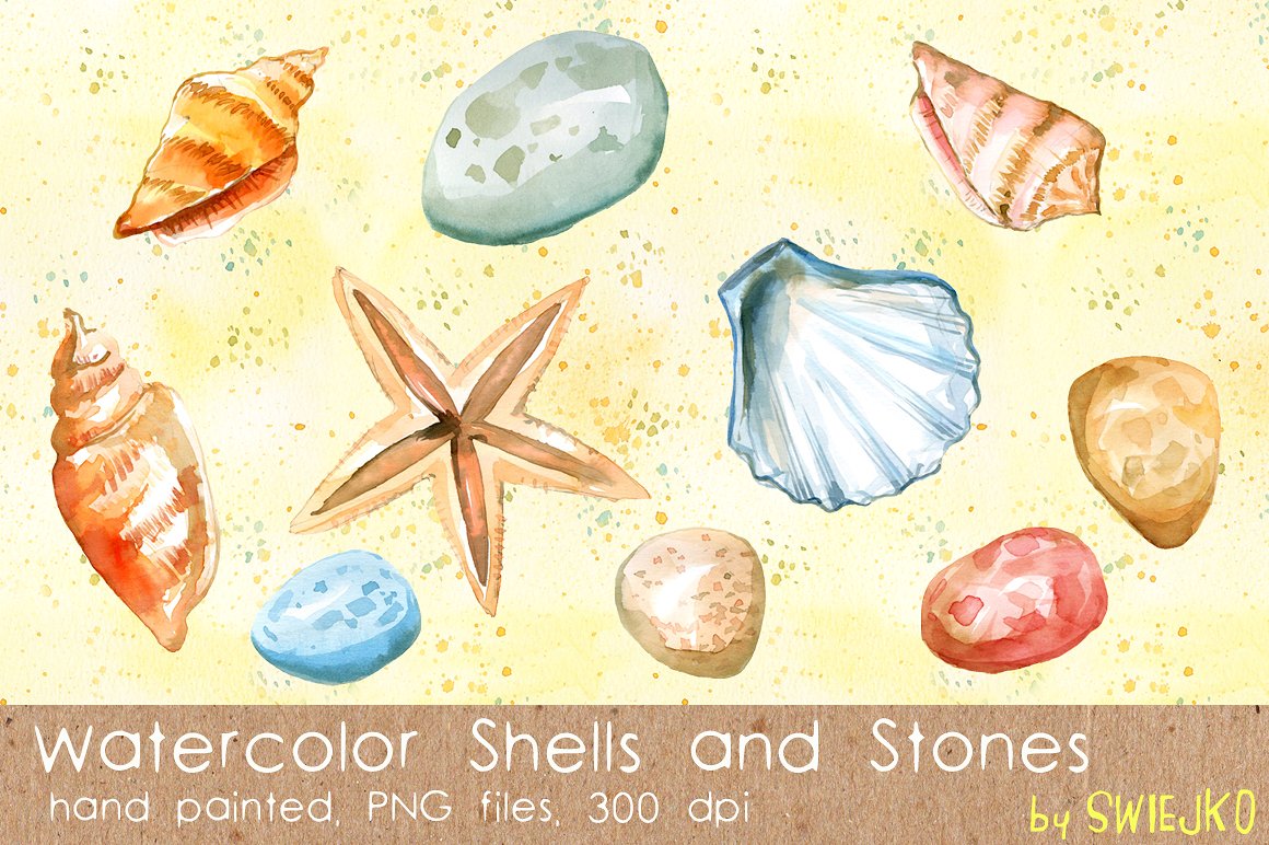 Shells, Sea Treasures