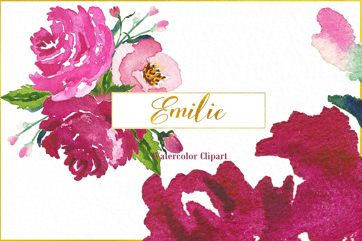 Emilie. Fuchsia roses watercol