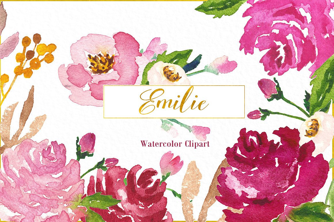 Emilie. Fuchsia roses watercol