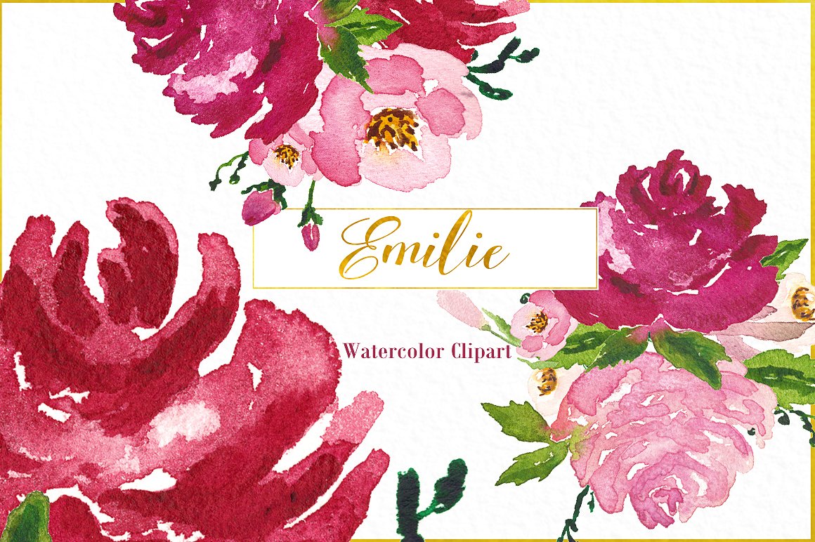 Emilie. Fuchsia roses watercol