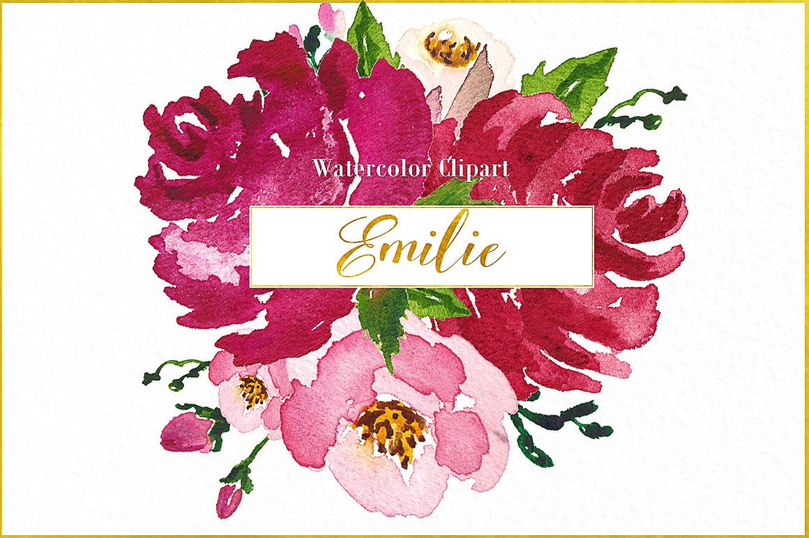 Emilie. Fuchsia roses watercol