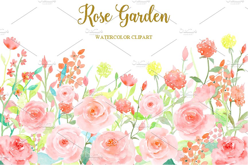 Watercolor Pink Rose Garden