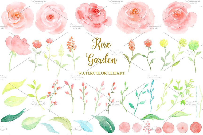 Watercolor Pink Rose Garden